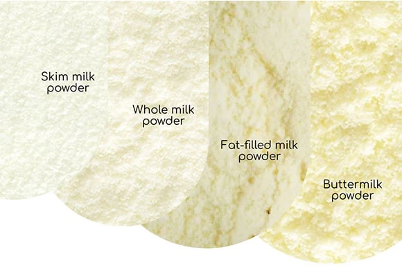 Exploring the World of Milk Powders