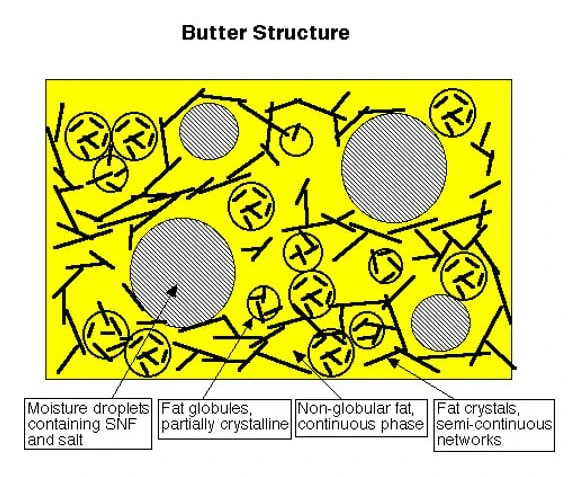 butter structure