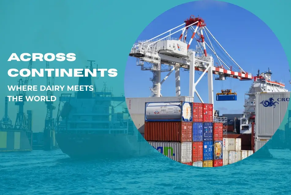 Hiroland's Global Reach: Supplying Premium Dairy Ingredients Worldwide 19 Hiroland's Global Reach