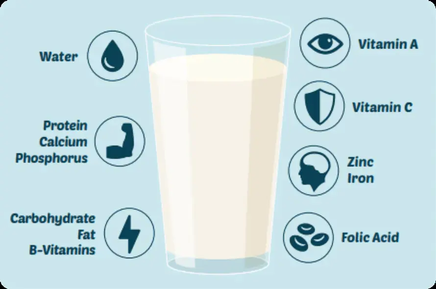 Nutritional benefits of dairy products