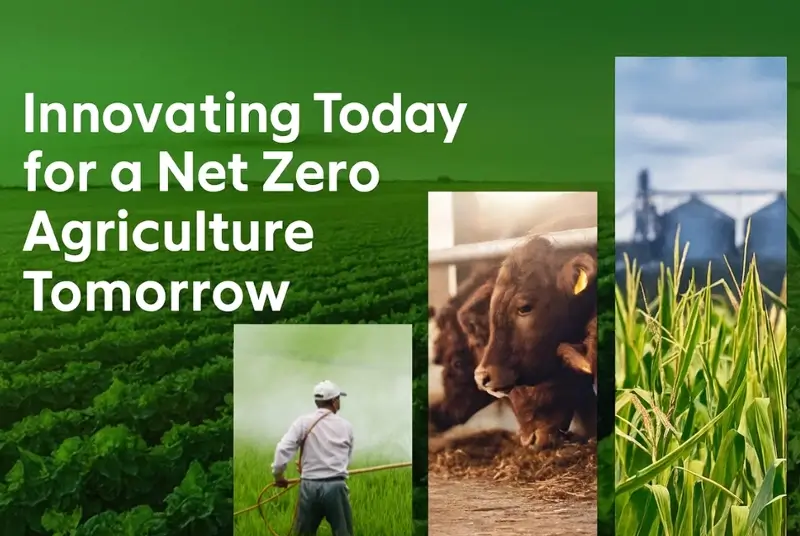 Net Zero in Agriculture: The Dairy Industry’s Path to a Greener Future 6 Net Zero in Agriculture