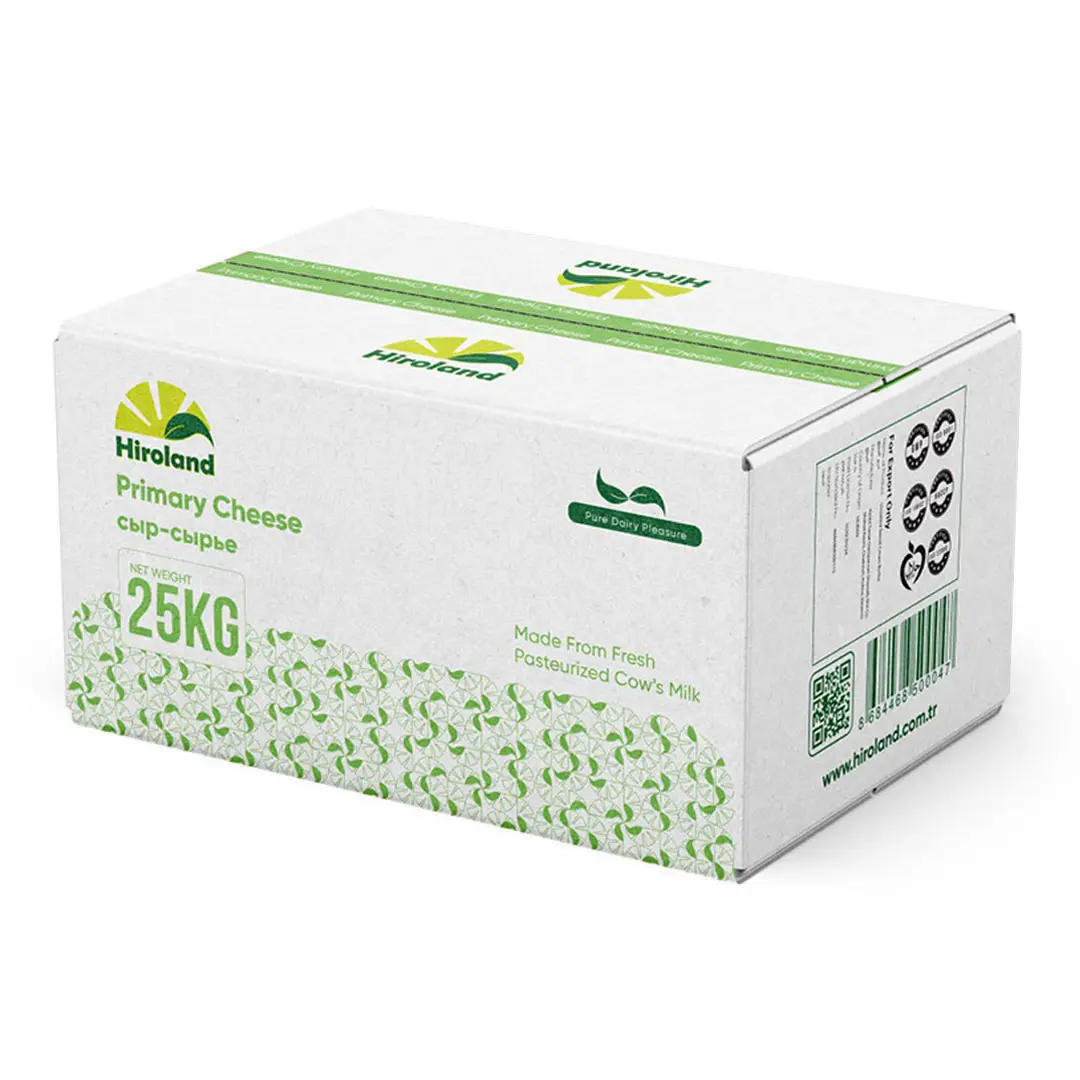 Primary Cheese Back 3D
